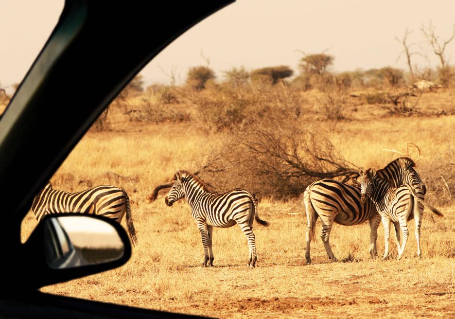 фото img_69d516a291577.jpg