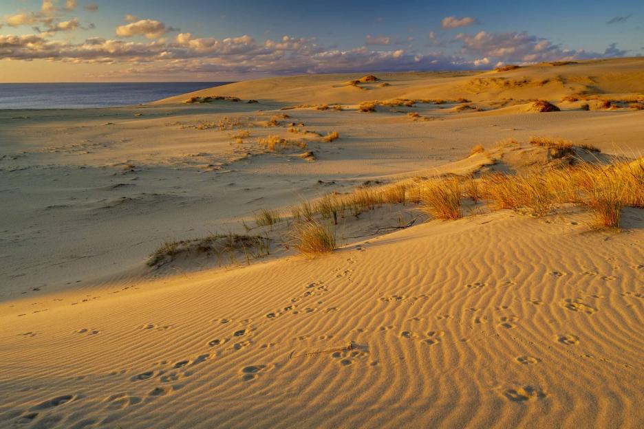 фото img_69d7aad0da92d.jpg