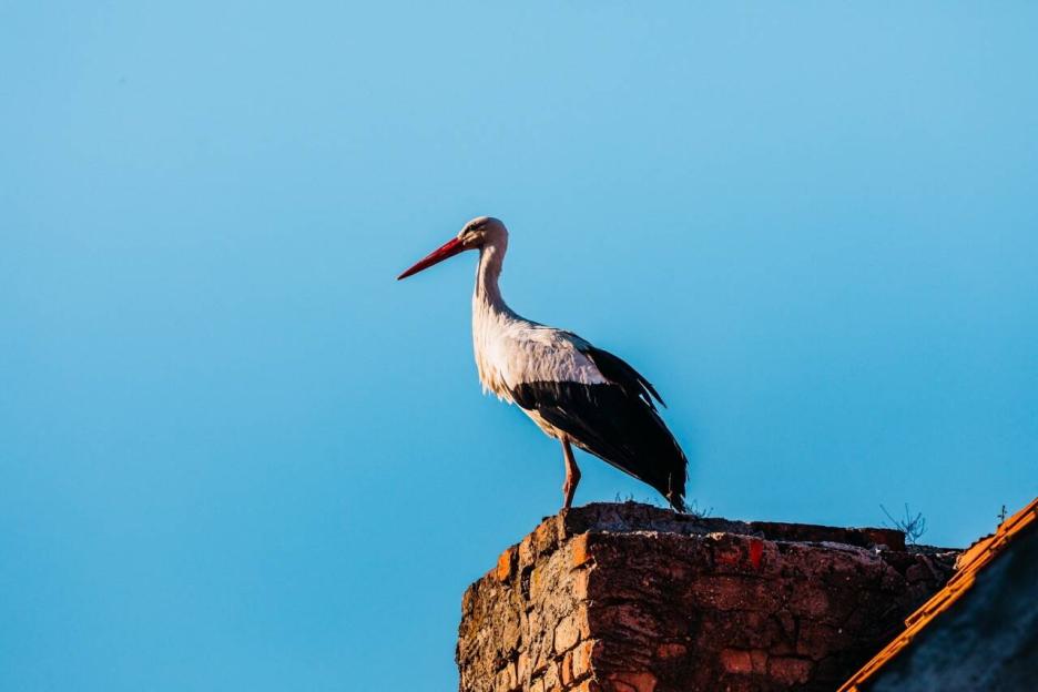 фото img_69d7aad79700a.jpg