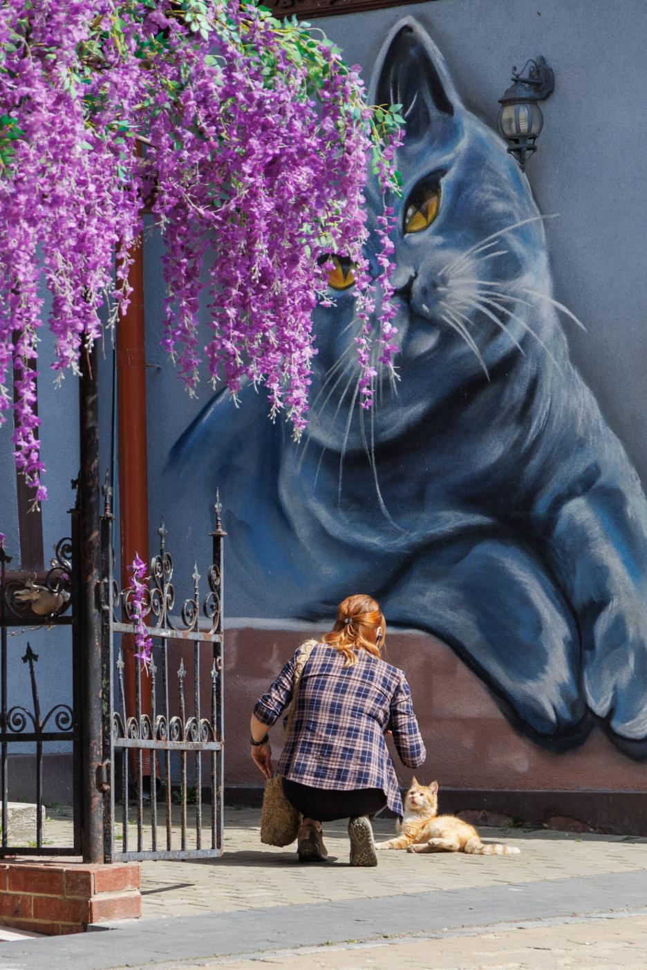 фото img_69d7b937b0f45.jpg