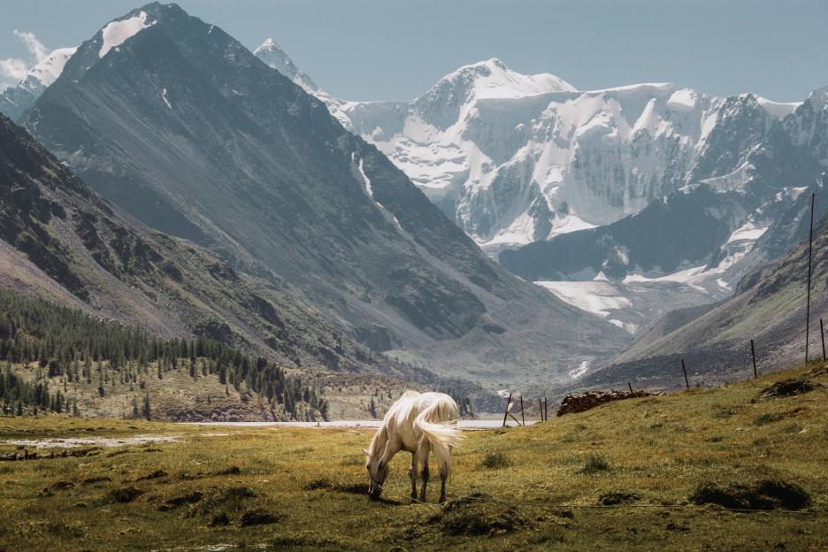 фото img_69d8a80918318.jpg