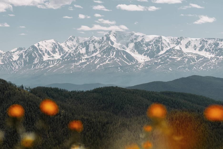 фото img_69d8b096451b9.jpg