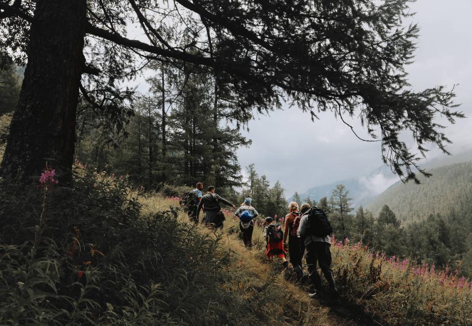 фото img_69d8b1dc00174.jpg