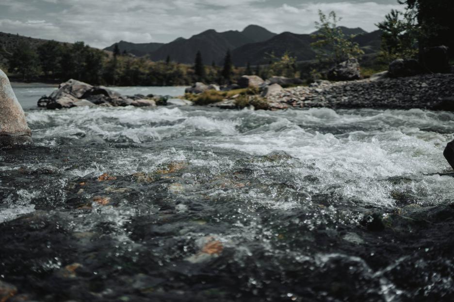 фото img_69d8b1dd6d7e9.jpg