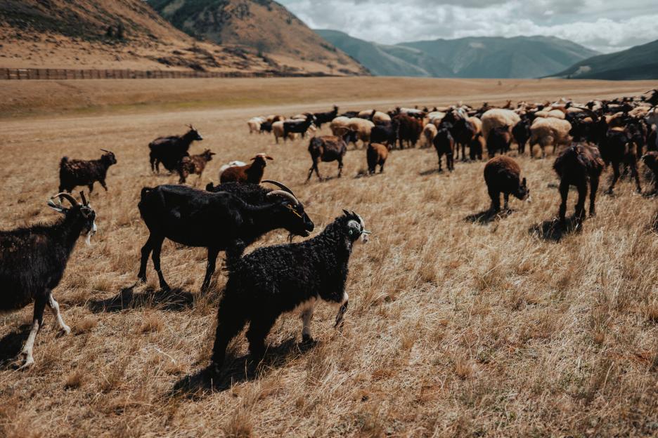 фото img_69d8b1dec0010.jpg