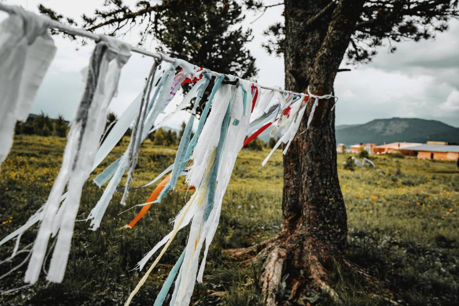 фото img_69d8b24b7013f.jpg