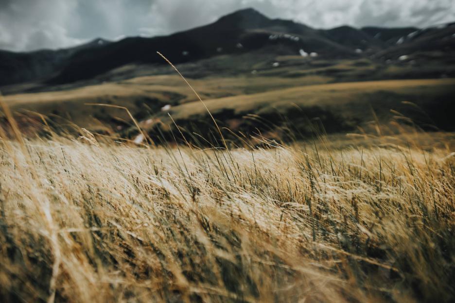 фото img_69d8b47f44b79.jpg