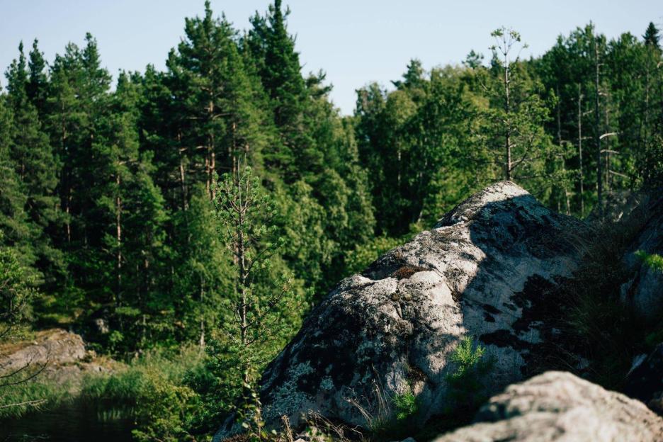 фото img_69ddfe0319930.jpg