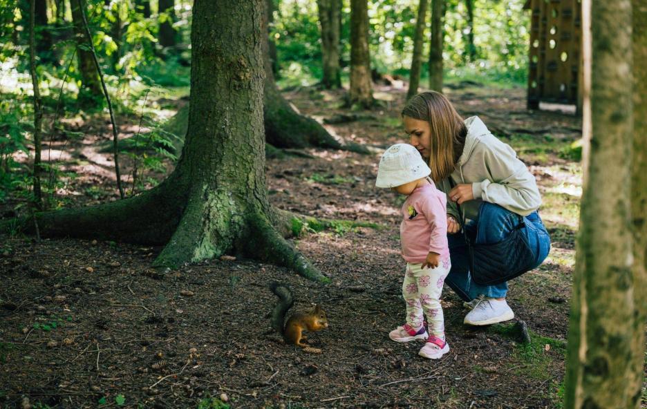 фото img_69ddfe04233b5.jpg