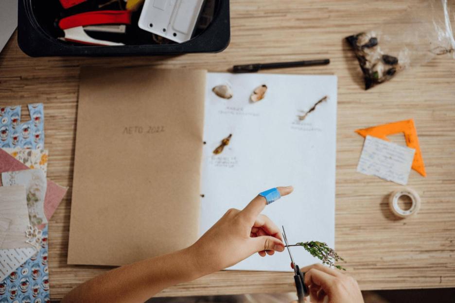 фото img_69ddfe0cce18d.jpg