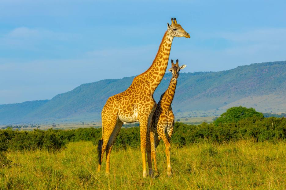 фото img_69de0fa9371c8.jpg