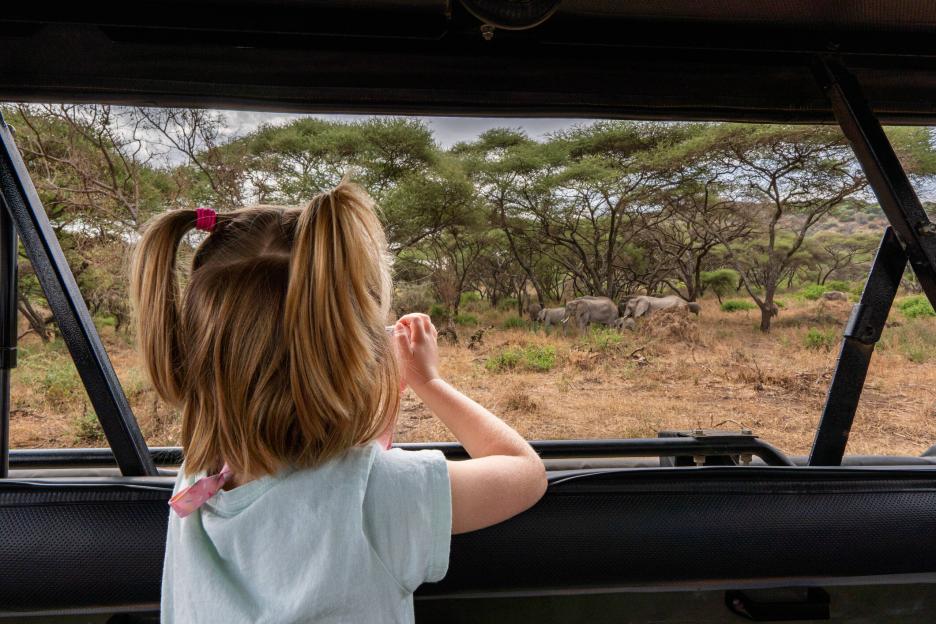 фото img_69de127c6ea6d.jpg