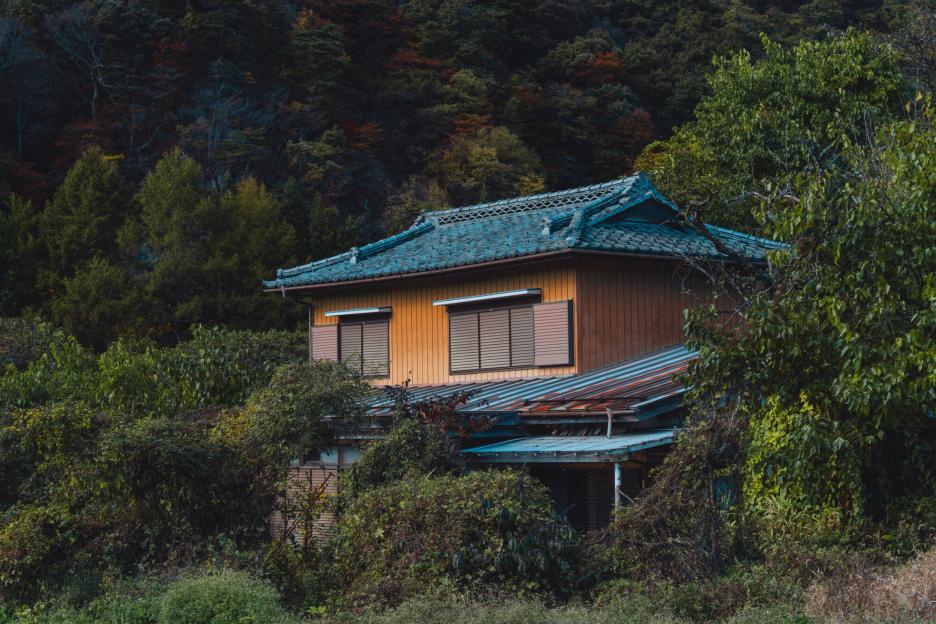 фото img_69df4e3e3be32.jpg