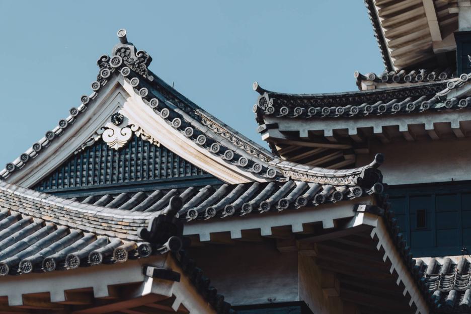 фото img_69df50199acd6.jpg