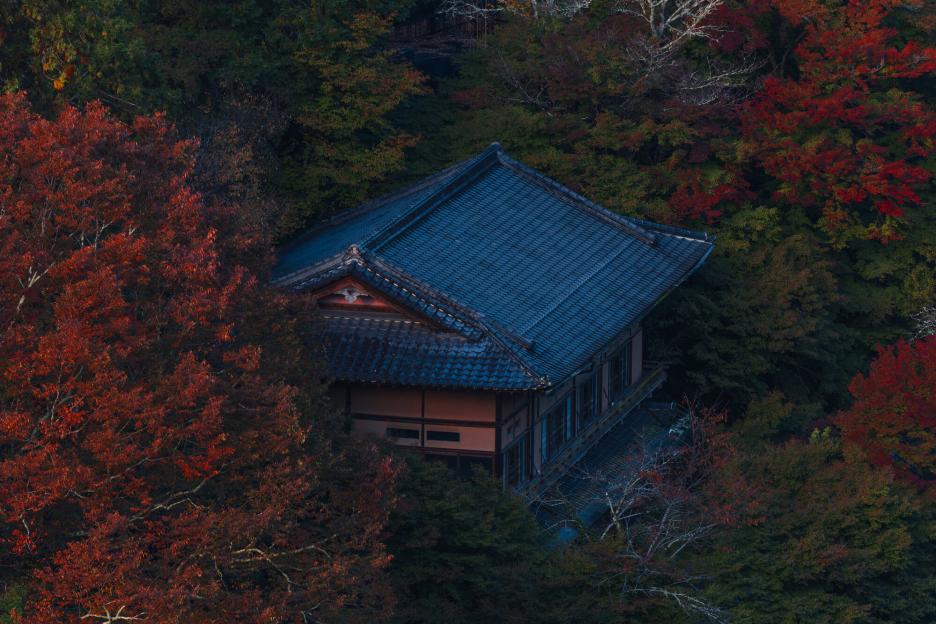 фото img_69df50222496a.jpg