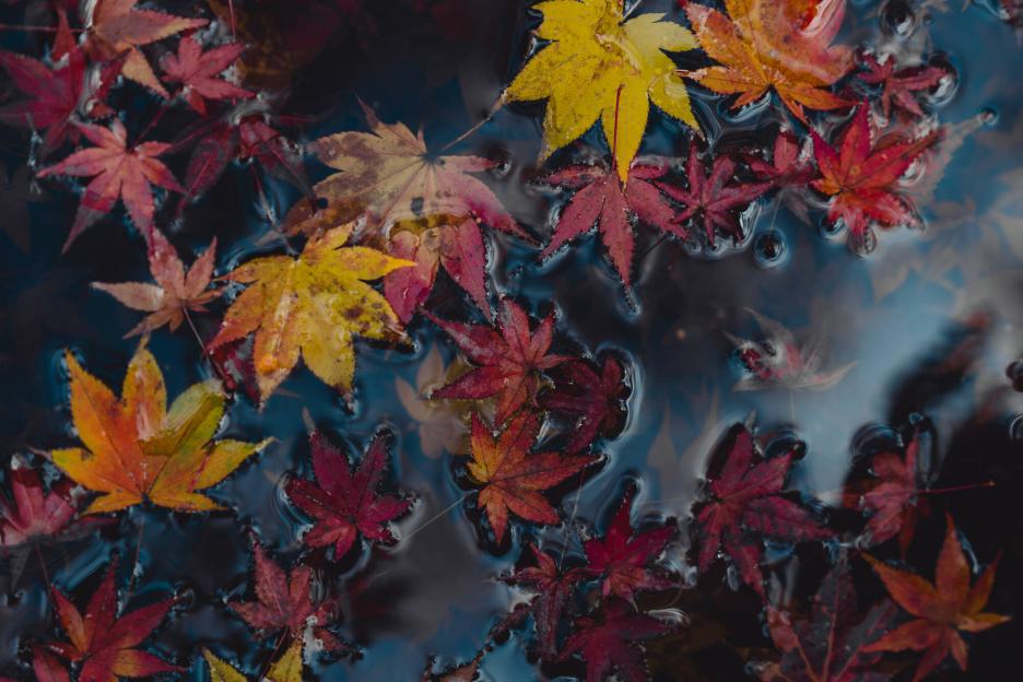 фото img_69df502408dbc.jpg