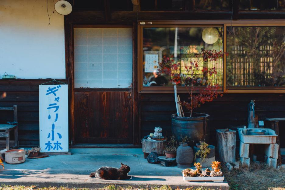 фото img_69df50272cacb.jpg