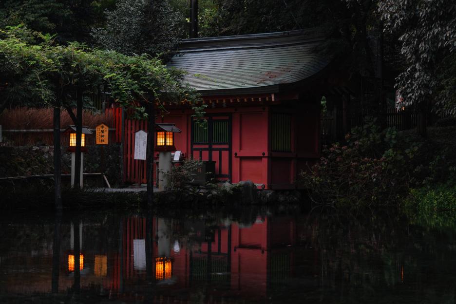 фото img_69df5029e111a.jpg