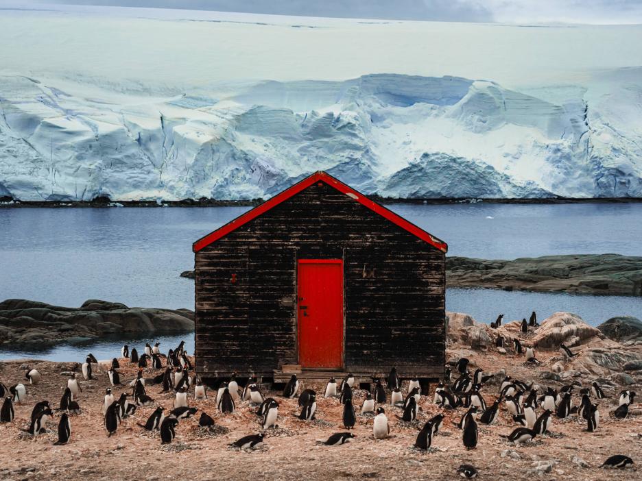 фото img_69df93be368f6.jpg