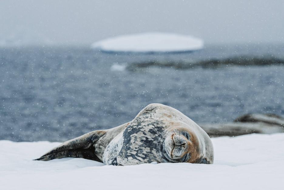 фото img_69df93c22ece0.jpg