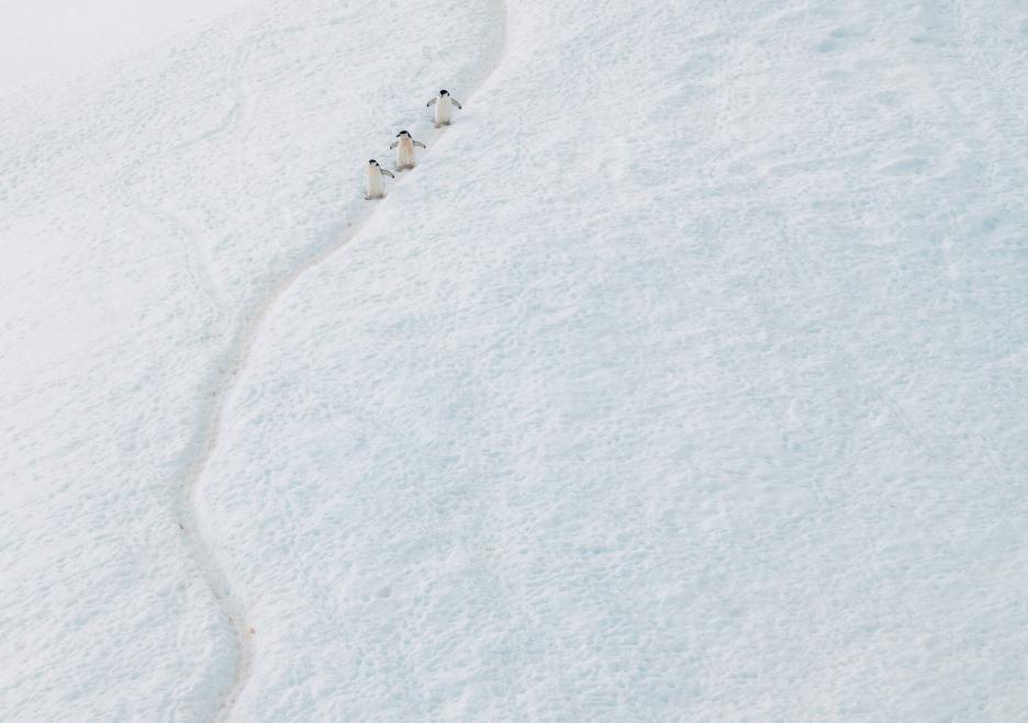 фото img_69df93c3d7784.jpg