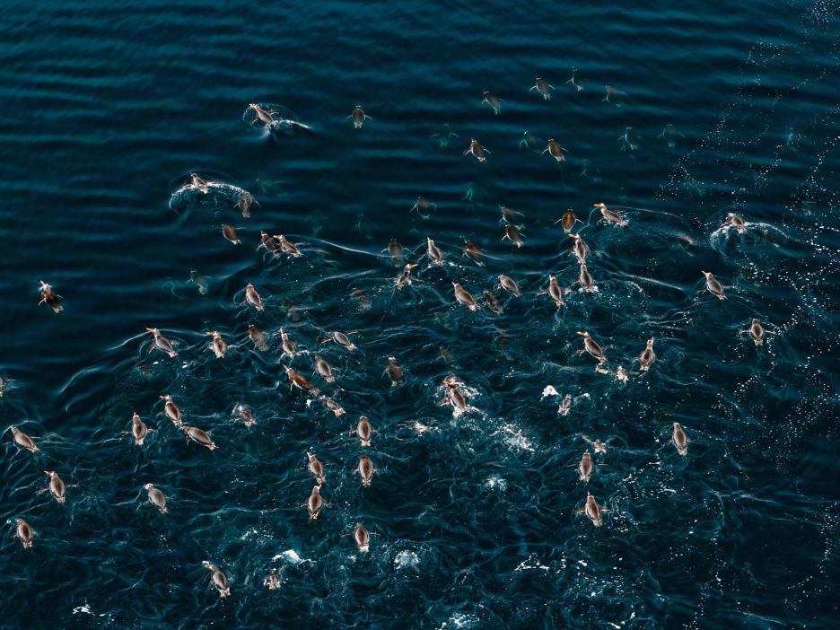 фото img_69df93cb495b9.jpg