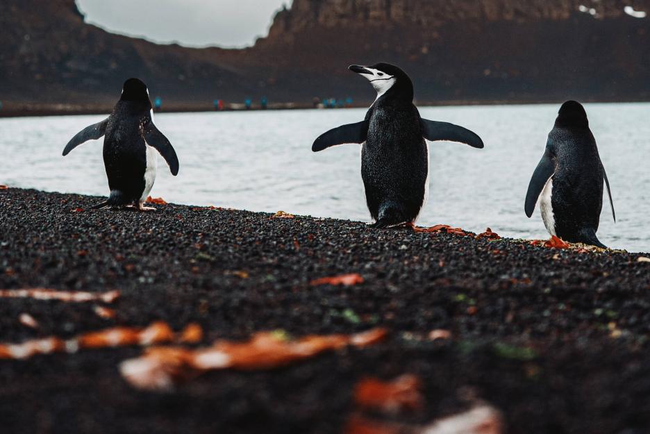 фото img_69df93cd23bf9.jpg