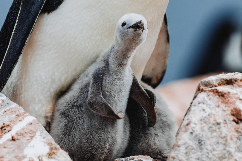 фото img_69df93d5c1d8e.jpg