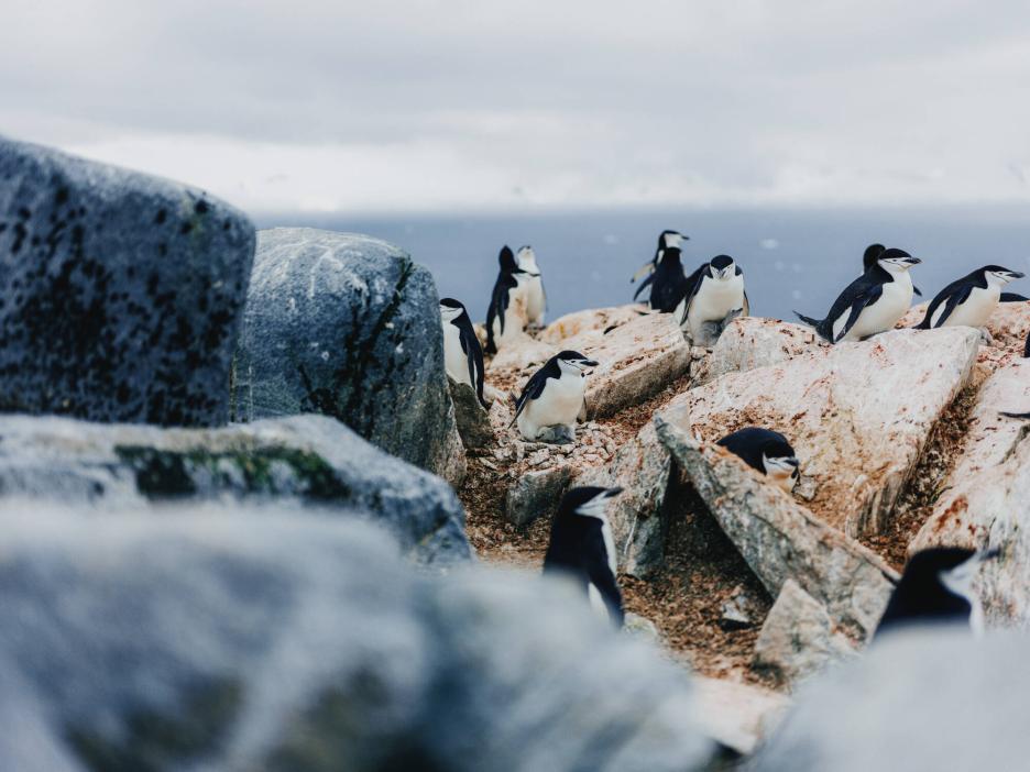 фото img_69df93d72c606.jpg