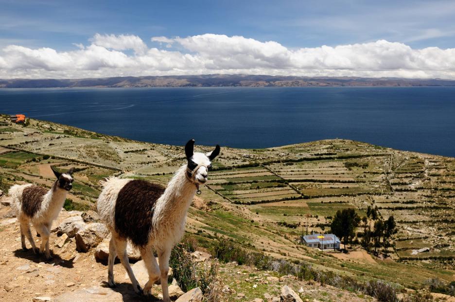 фото img_69e1f2fe36a69.jpg