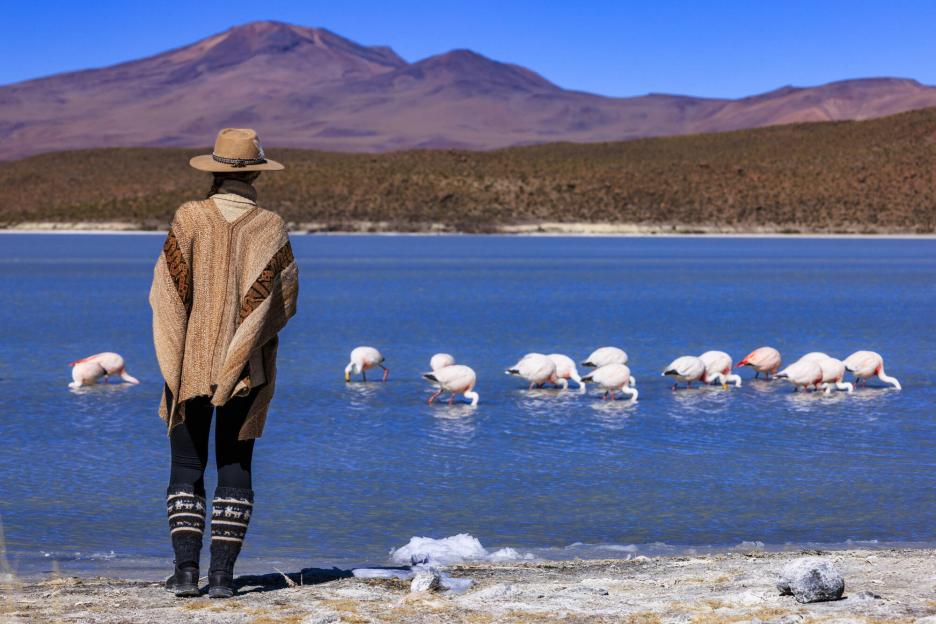 фото img_69e1f30268001.jpg