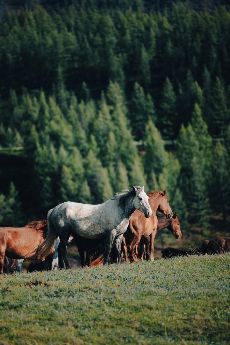 фото img_69e6dbf81a54b.jpg