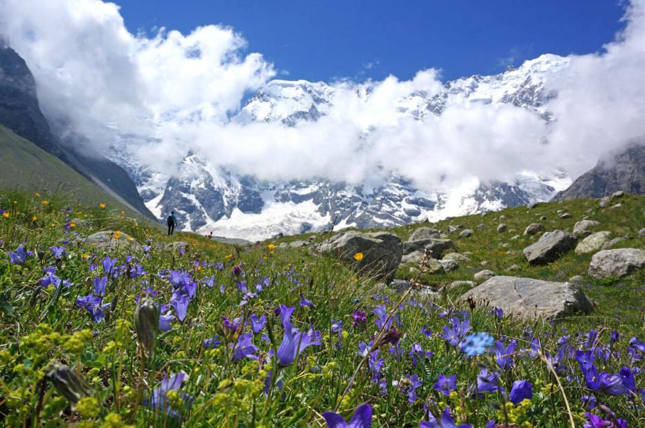 фото img_69e71a6cd80d0.jpg