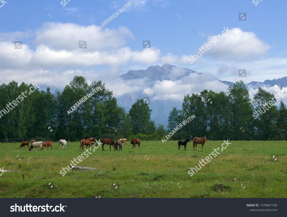 фото img_69e9c8b59c8fd.jpg