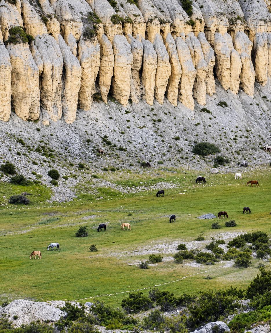 фото img_6aa16bfba3013.png