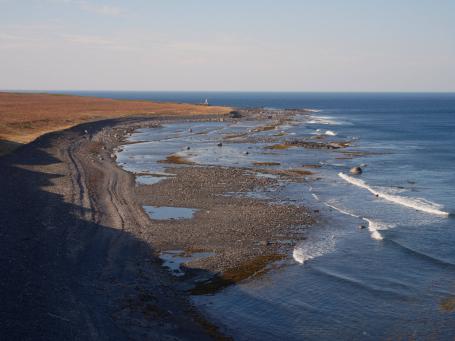 На берегу моря