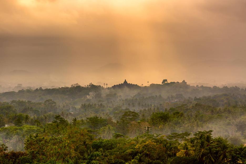 фото img_6ac3926c6d2f2.jpg
