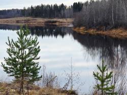 Фото из статьи основателя