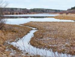 Фото из статьи основателя