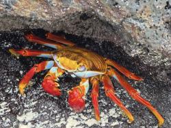 Фото из статьи основателя