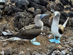 Фото из статьи основателя