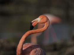 Фото из статьи основателя