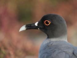 Фото из статьи основателя