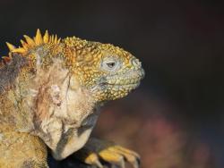 Фото из статьи основателя