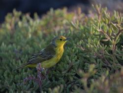 Фото из статьи основателя