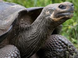 Фото из статьи основателя