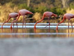 Фото из статьи основателя