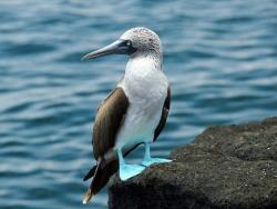 Фото из статьи основателя