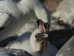 Фото из статьи основателя