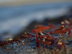 Фото из статьи основателя